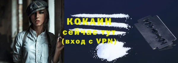 мескалин Ельня