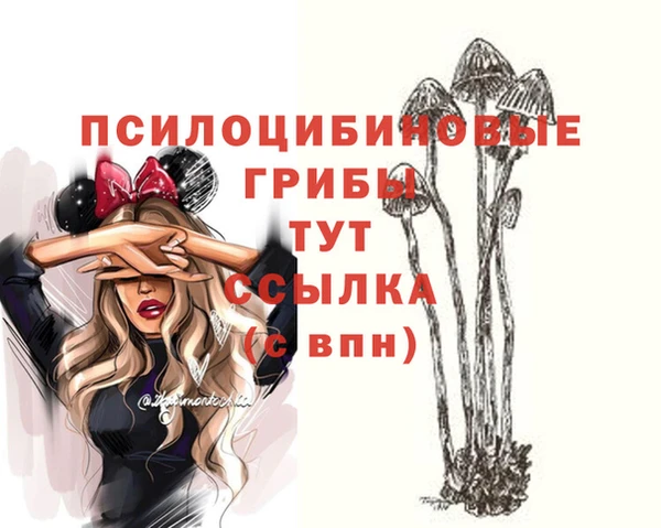 прущая мука Елизово