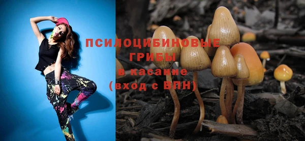 мескалин Ельня